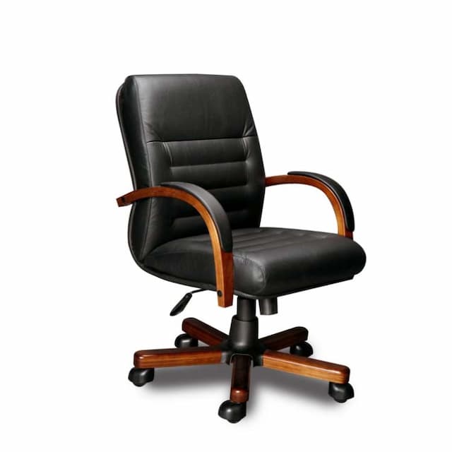 Кресло для руководителя Мирэй MYRA В LAGUNA ТГЛ, экокожа OREGON